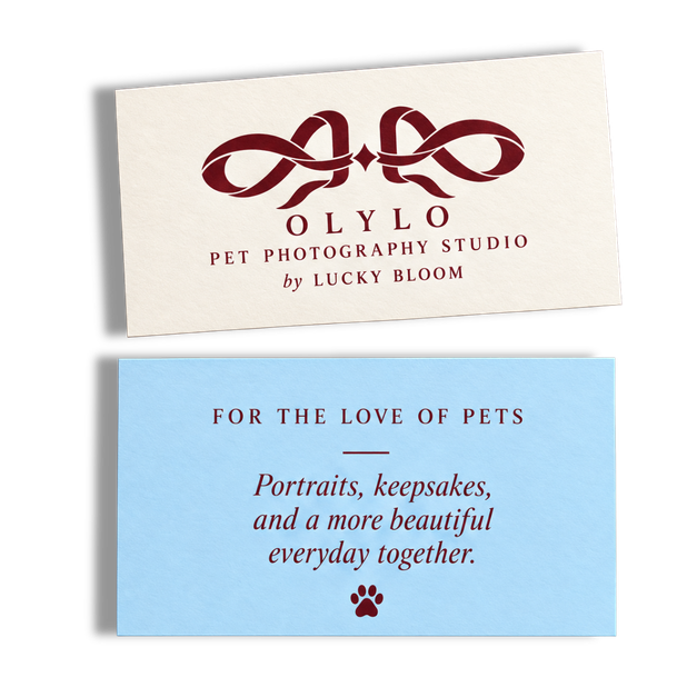 OLYLO 酒红与浅蓝纪念卡片展示